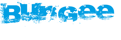 Logo Bungee Action